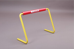 S23-631 (Training step hurdles) 